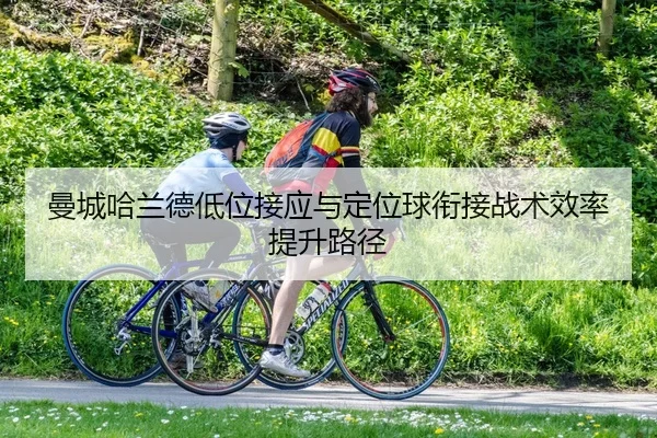 man-cheng-ha-lan-de-di-wei-jie-ying-yu-ding-wei-qiu-xian-jie-zhan-shu-xiao-lv-ti-sheng-lu-jing-2-433.jpg